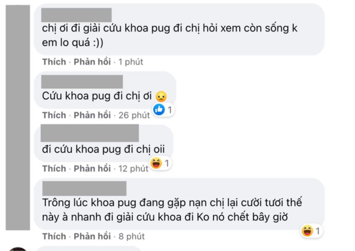 Netizen đồng loạt yêu cầu Chi Pu giải cứu Khoa Pug Ảnh 4