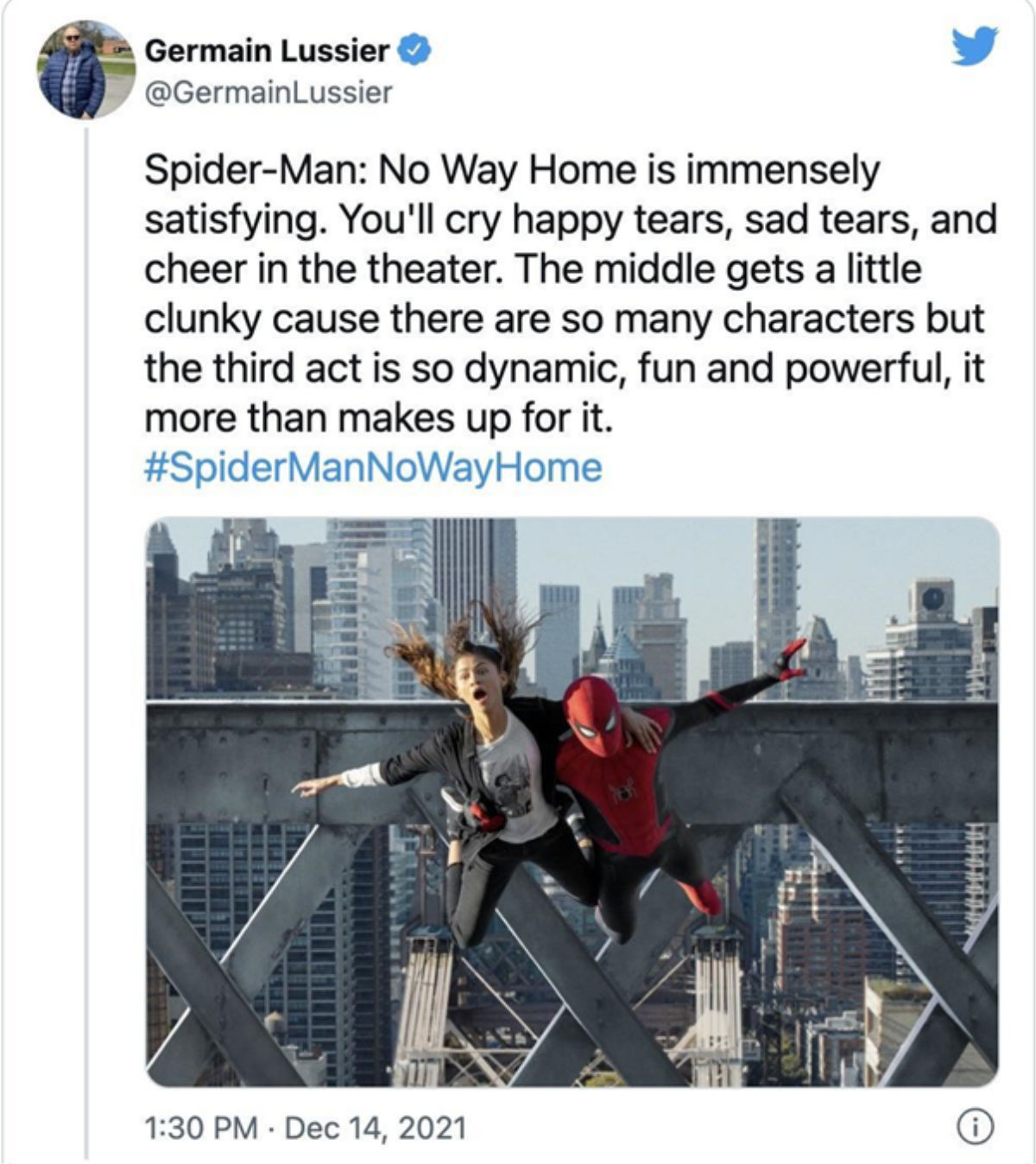 Phản ứng của khán giả sau khi ra rạp xem 'Spider-Man: No Way Home': Xuất sắc, bùng nổ hơn cả 'Endgame' Ảnh 12