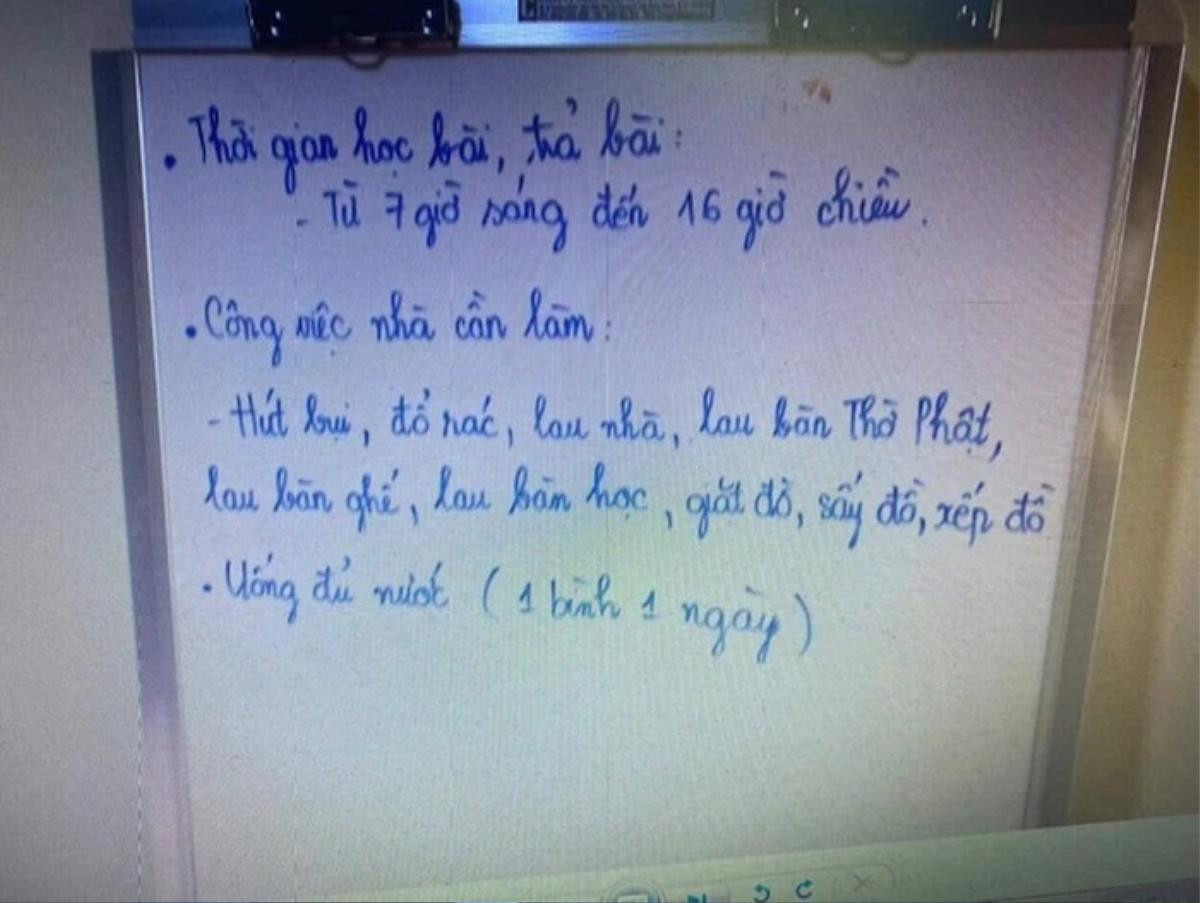 'Mẹ kế' nghi bạo hành bé gái 8 tuổi tử vong: Từng 'bóc phốt' giúp việc lười biếng, lo lắng bé V.A bị đánh Ảnh 4