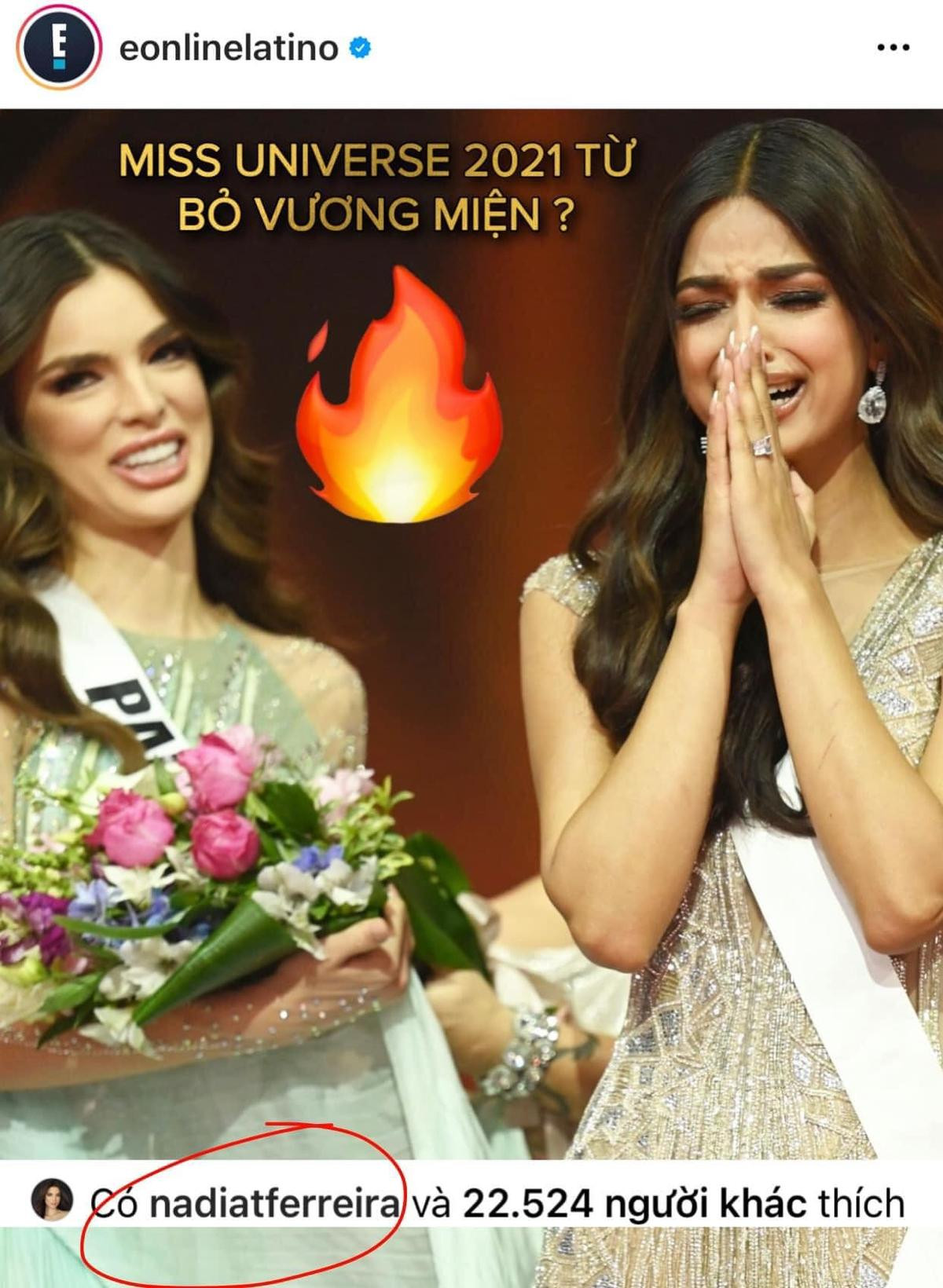 Fan xôn xao trước tin tân Miss Universe 2021 tuyên bố từ bỏ vương miện do bị chê 'xấu nết' Ảnh 7