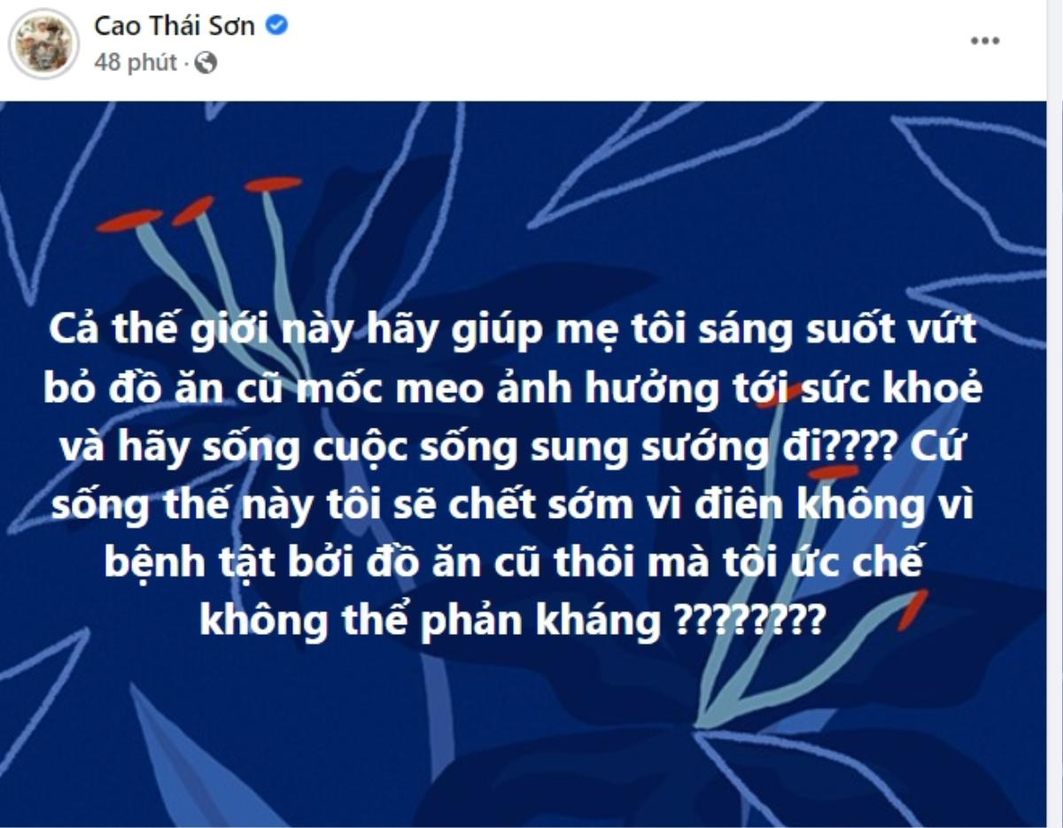 Cao Thái Sơn cầu cứu dân mạng giúp mẹ mình vì quá bất lực, chuyện gì đây? Ảnh 1