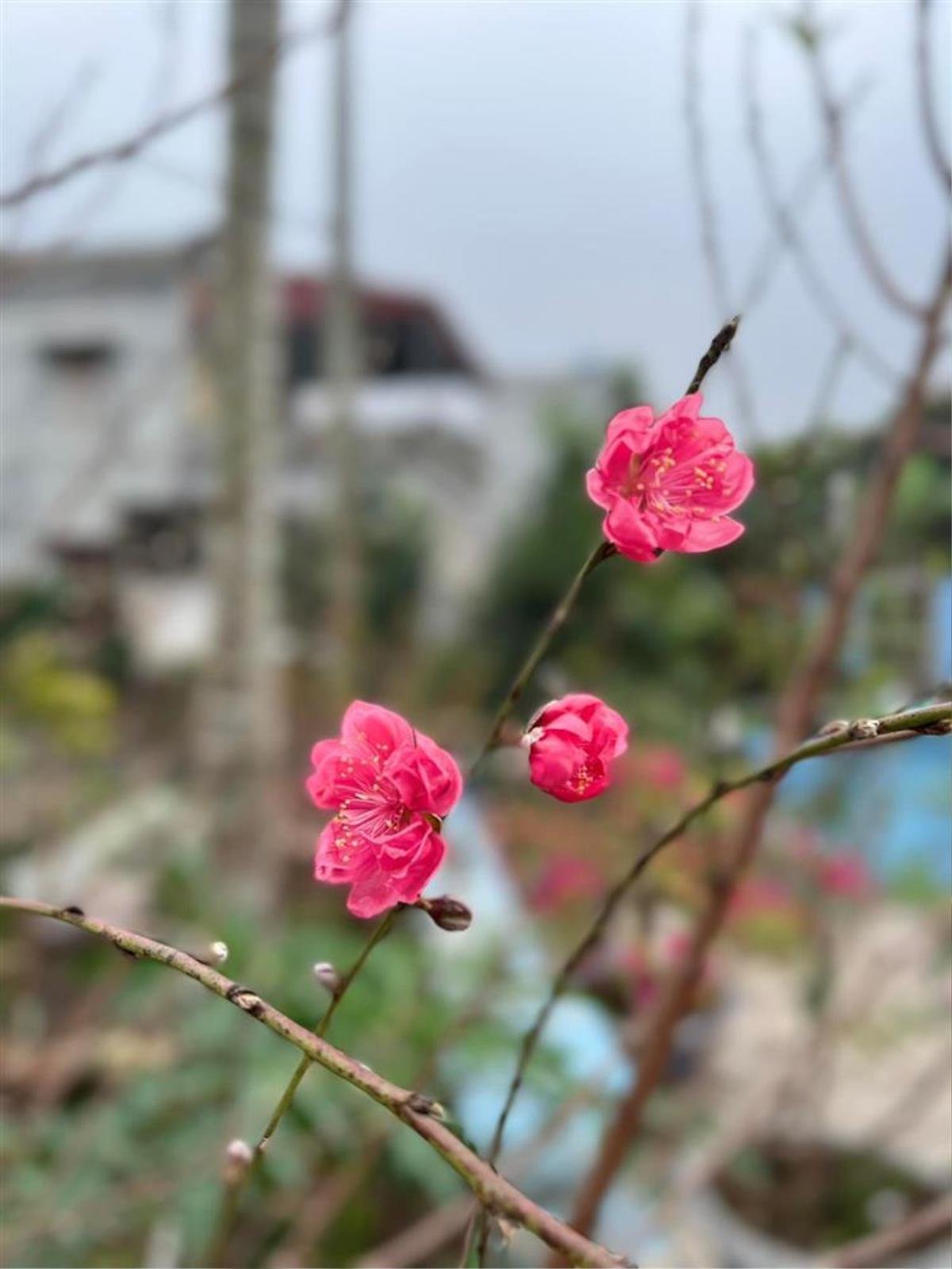 Hoa hậu Ngọc Hân hiếm hoi khoe cơ ngơi nhà chồng sắp cưới, gia thế 'không phải dạng vừa đâu' Ảnh 2