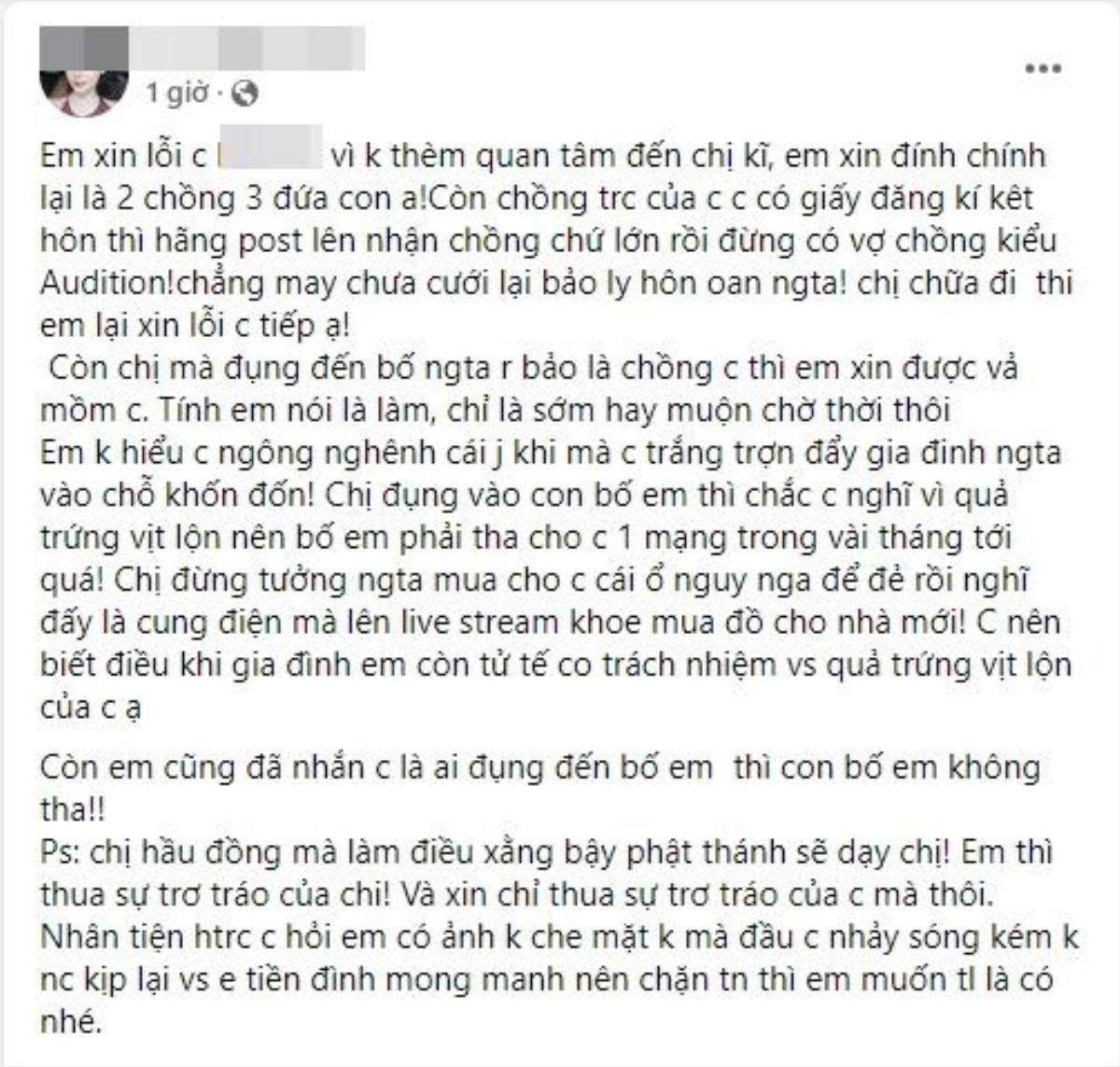 Ca sĩ Lều Phương Anh lên tiếng khi bị tố là 'tiểu tam', có con với chồng người khác Ảnh 3