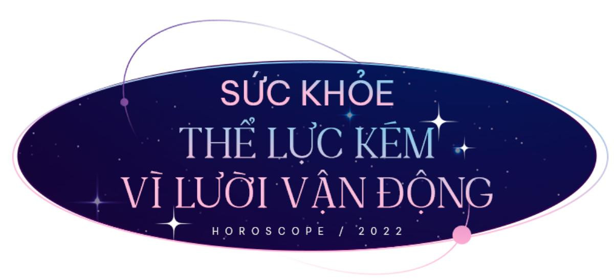 Xem tử vi cung Bảo Bình năm 2022: Sự nghiệp phát triển lên tầm cao mới! Ảnh 5