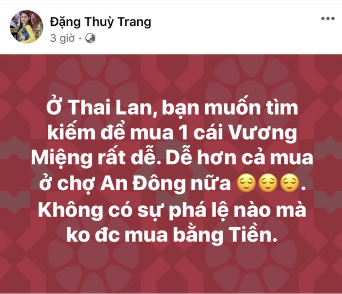 Đặng Thu Thảo bị anti-fan 'lăng mạ' khi chị gái liên tục có phát ngôn gây sốc về Thùy Tiên Ảnh 4