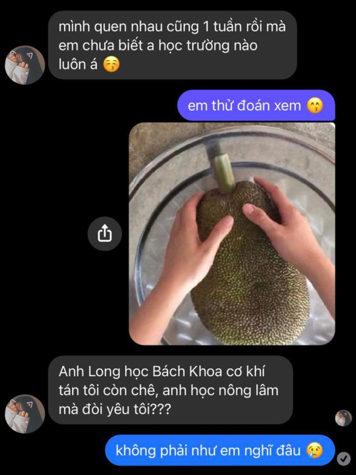 Được hỏi học trường gì, chàng trai gửi hình quả mít liền chửi té tát, sự thật khiến cô gái tiếc hùi hụi Ảnh 1