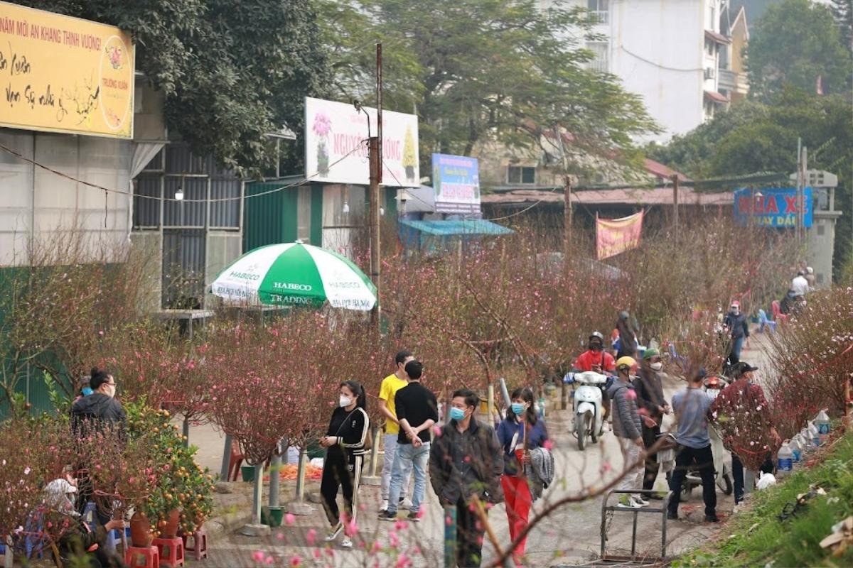 Hà Nội: Chợ Tết nô nức sắc xuân, đào lê ngập tràn, nhiều gia đình du xuân từ sớm Ảnh 4