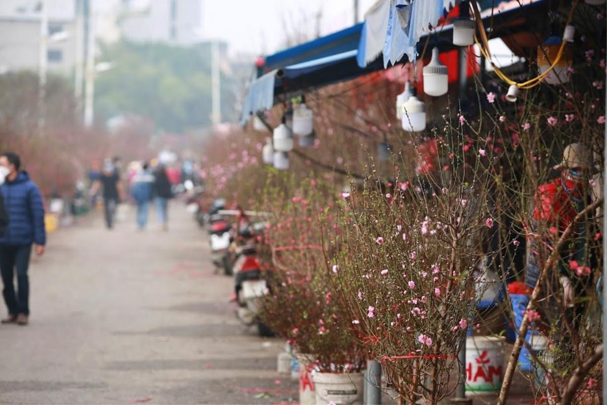 Hà Nội: Chợ Tết nô nức sắc xuân, đào lê ngập tràn, nhiều gia đình du xuân từ sớm Ảnh 12