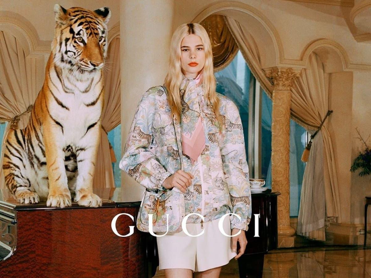 Quảng cáo năm mới của Gucci có nguy cơ bị gỡ vì sử dụng hổ thật Ảnh 3