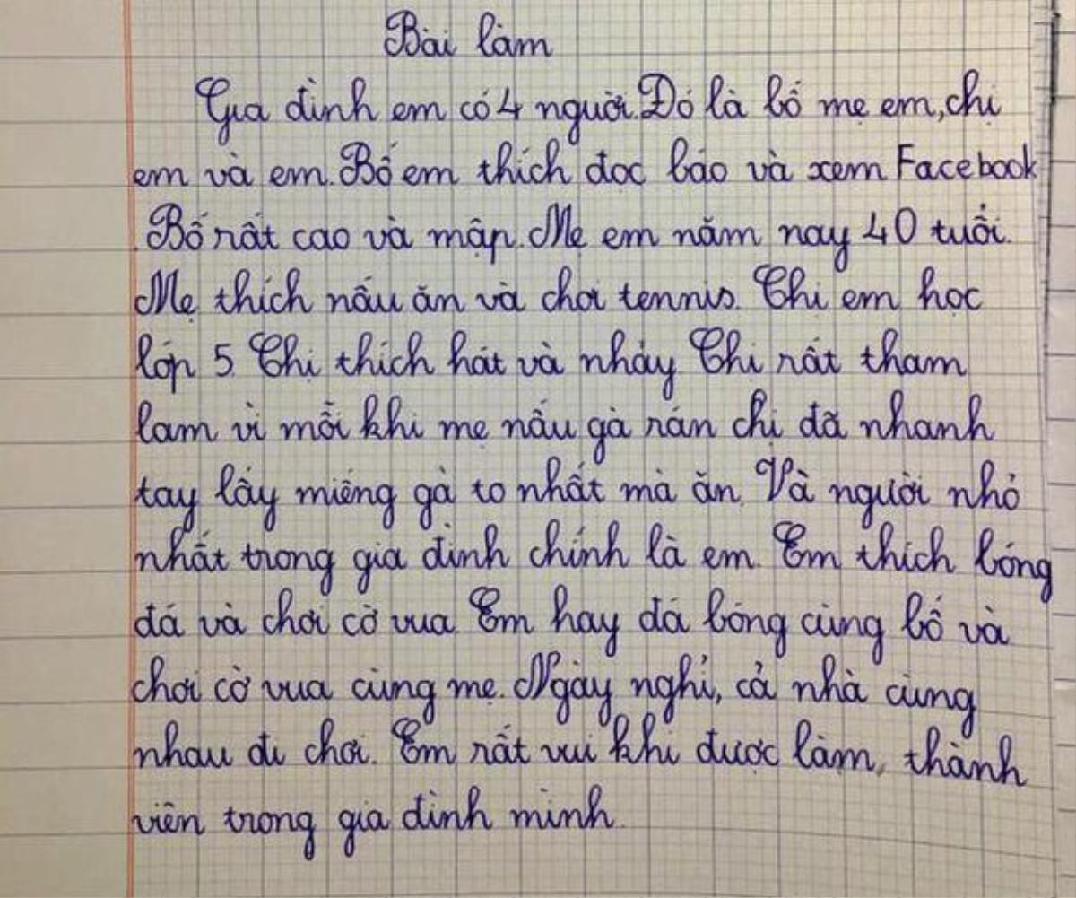 Làm văn kể về gia đình mình, bé trai lớp 2 thẳng thừng 'bóc phốt' chị gái khiến dân mạng cười ngất Ảnh 1