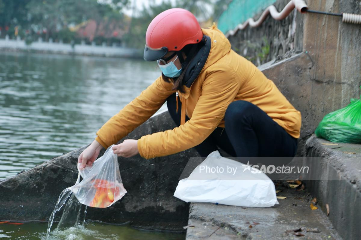 Người Hà Nội tấp nập thả cá chép 'khủng' tiễn ông Công ông Táo về trời Ảnh 1