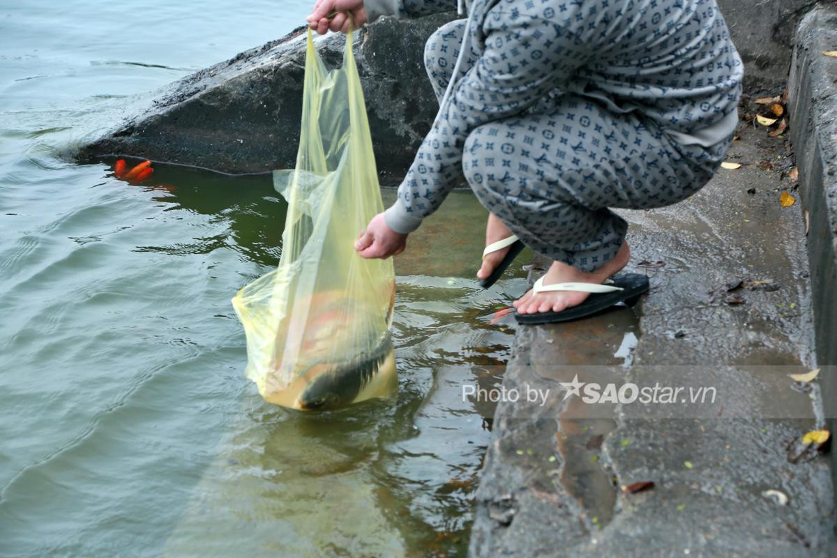 Người Hà Nội tấp nập thả cá chép 'khủng' tiễn ông Công ông Táo về trời Ảnh 8