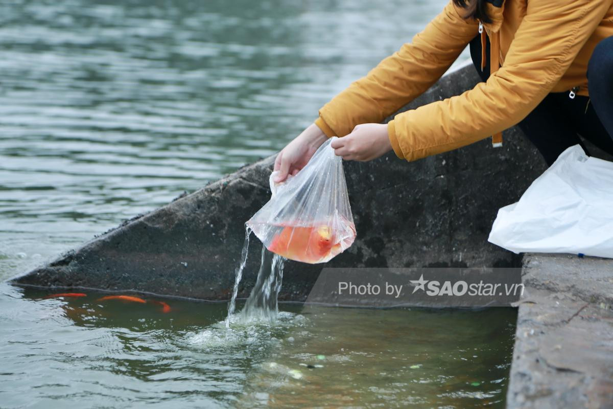 Người Hà Nội tấp nập thả cá chép 'khủng' tiễn ông Công ông Táo về trời Ảnh 5