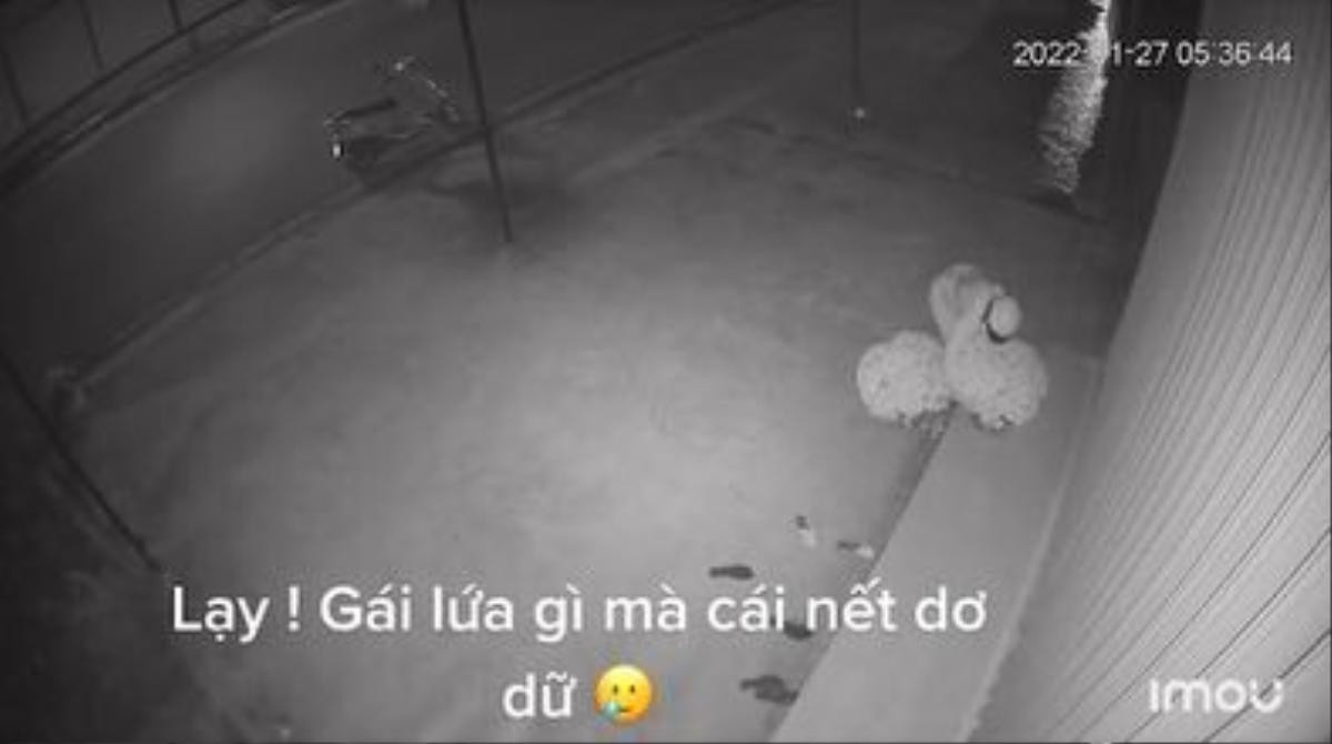 Clip: Cô gái dừng xe bên lề đường tập thể dục, hành động kém duyên sau đó khiến chủ nhà phải 'bóc phốt' Ảnh 2