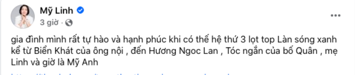 Mỹ Anh đạt giải Làn Sóng Xanh, diva Mỹ Linh tiết lộ kỳ tích 'có 1-0-2' của gia đình Ảnh 2