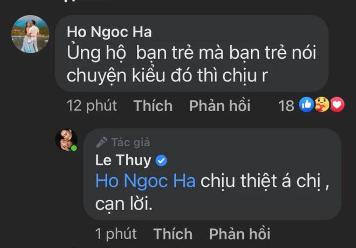 Lê Thúy 'cứu nguy' khi Hồ Ngọc Hà bị tố mặc hàng nhái rẻ tiền Ảnh 5