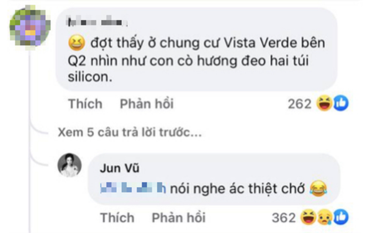 Jun Vũ nhận bình luận khiếm nhã 'Như con cò hương đeo hai túi silicon' và cách ứng xử được ngợi khen Ảnh 4