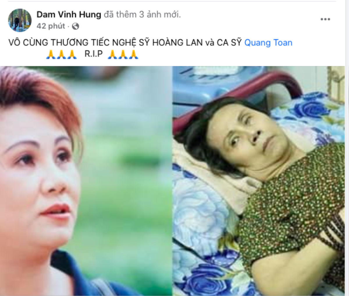 Đàm Vĩnh Hưng, Trấn Thành cùng nhiều sao Việt đau buồn trước thông tin NS Hoàng Lan qua đời Ảnh 3