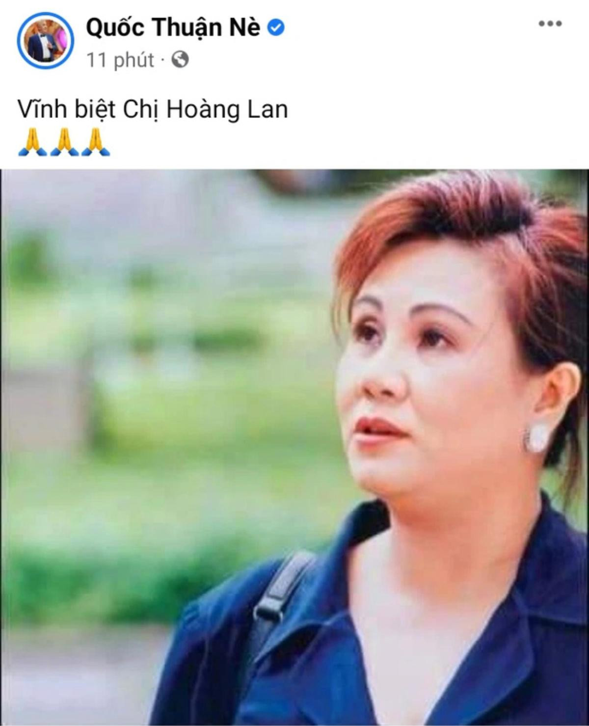 Đàm Vĩnh Hưng, Trấn Thành cùng nhiều sao Việt đau buồn trước thông tin NS Hoàng Lan qua đời Ảnh 4