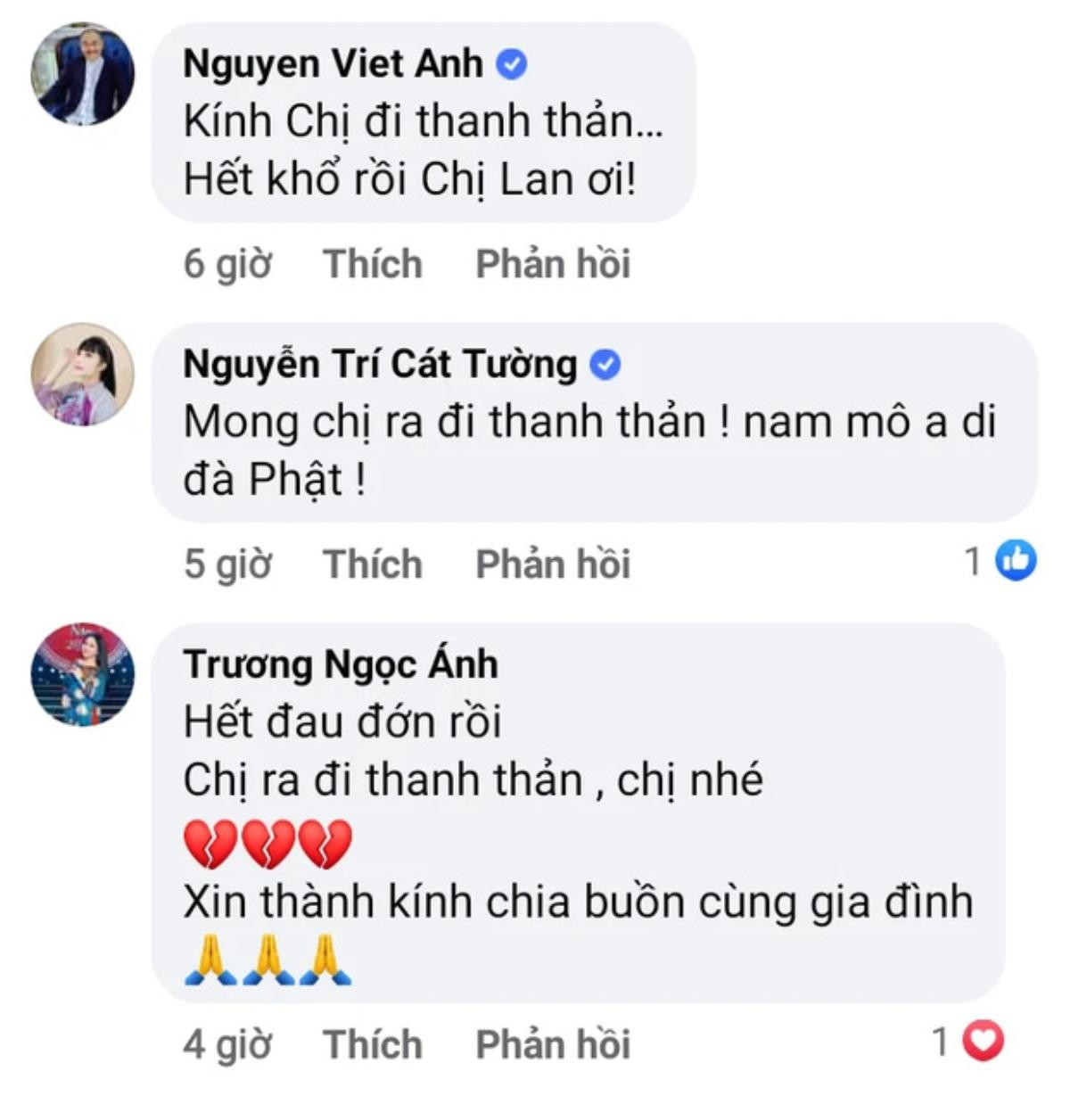 Đàm Vĩnh Hưng, Trấn Thành cùng nhiều sao Việt đau buồn trước thông tin NS Hoàng Lan qua đời Ảnh 6