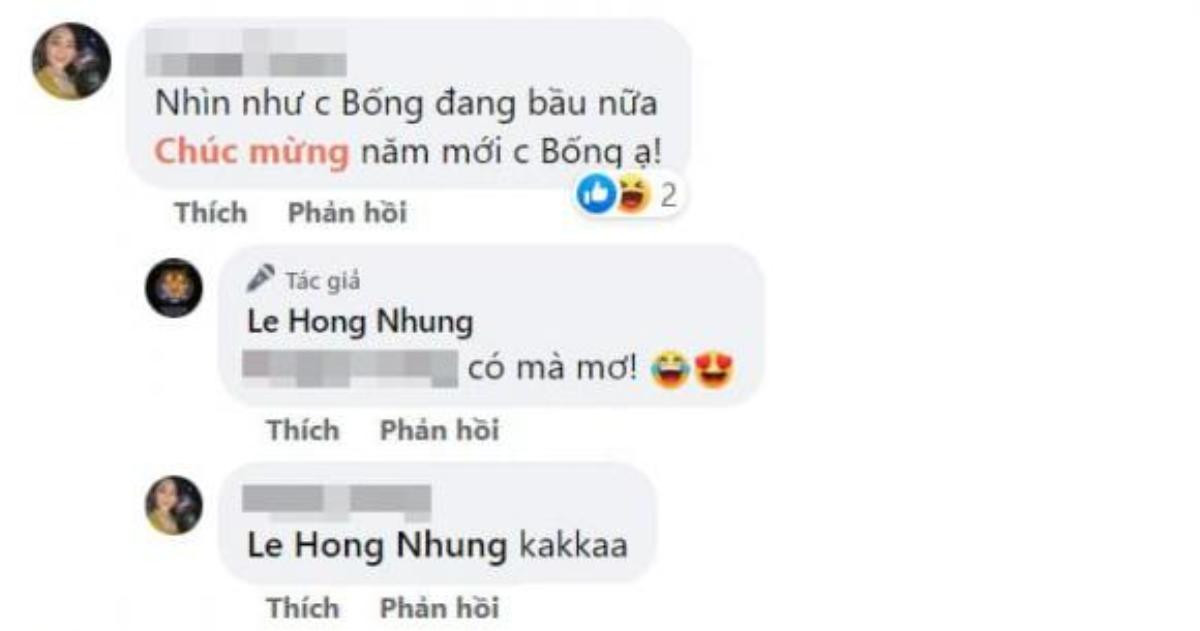 Diva Hồng Nhung nói gì khi bị nghi có bầu trong thời gian sống ở Pháp cùng bạn trai? Ảnh 3