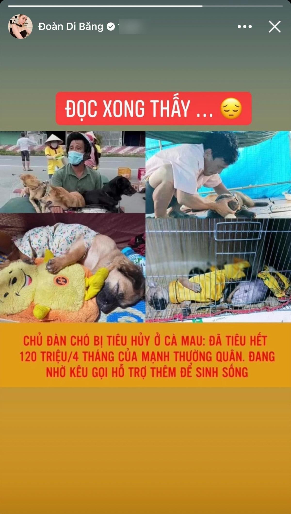 Nữ đại gia Di Băng cảm thấy bị lợi dụng vì vụ 15 con chó bị tiêu hủy Ảnh 2