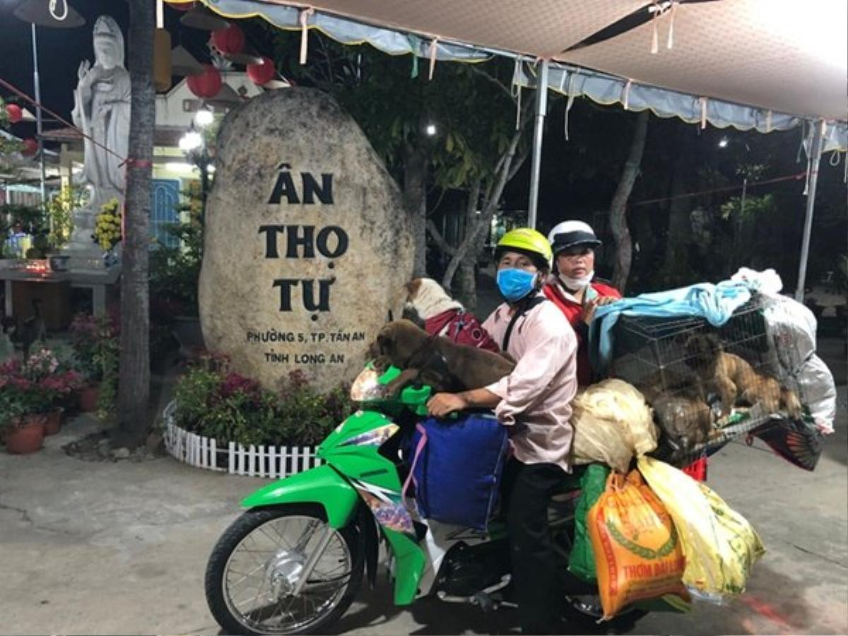 Chủ nhân đàn chó bị tiêu hủy: 'Cuộc hội ngộ đầy xúc cảm với chú chó cuối cùng còn sống' Ảnh 3