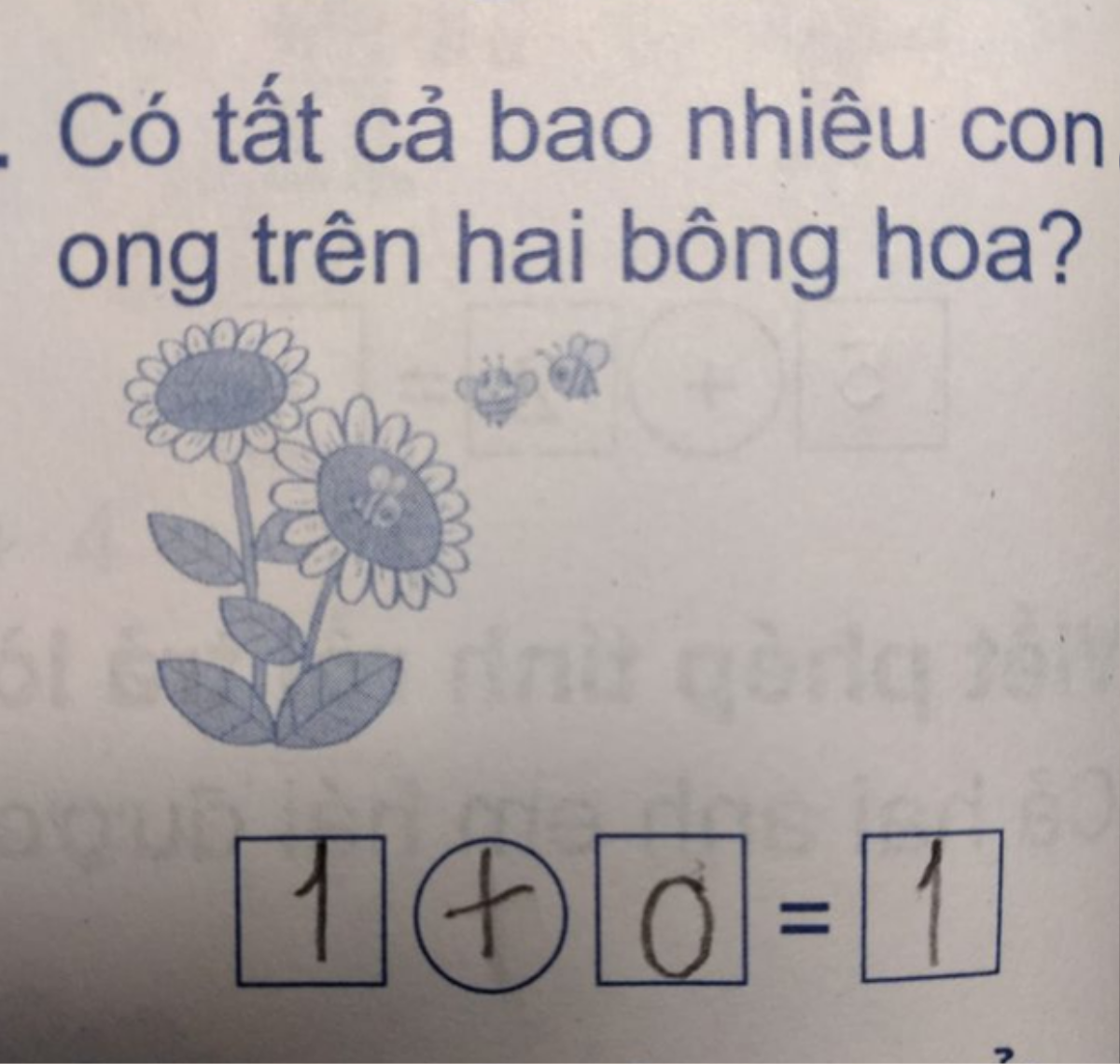 Bài toán bị giáo viên gạch sai nhưng dân tình lại khen ngợi học sinh thông minh Ảnh 1