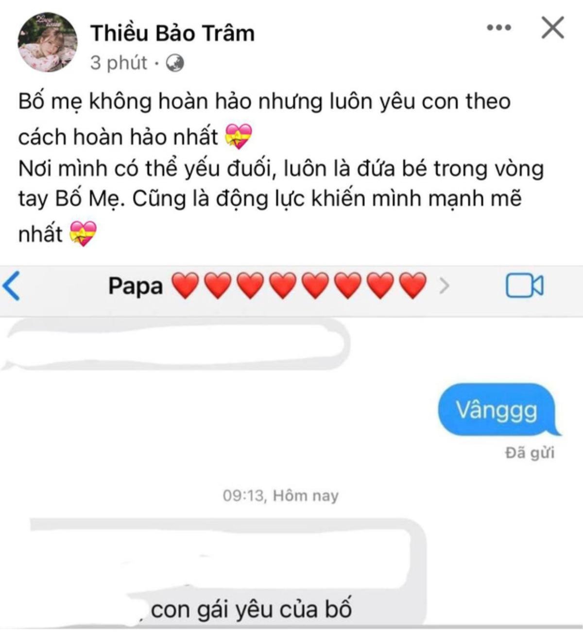 Tung tin nhắn với bố, Thiều Bảo Trâm vô tình tiết lộ từng 'yếu đuối' trước ồn ào của tình cũ Ảnh 1