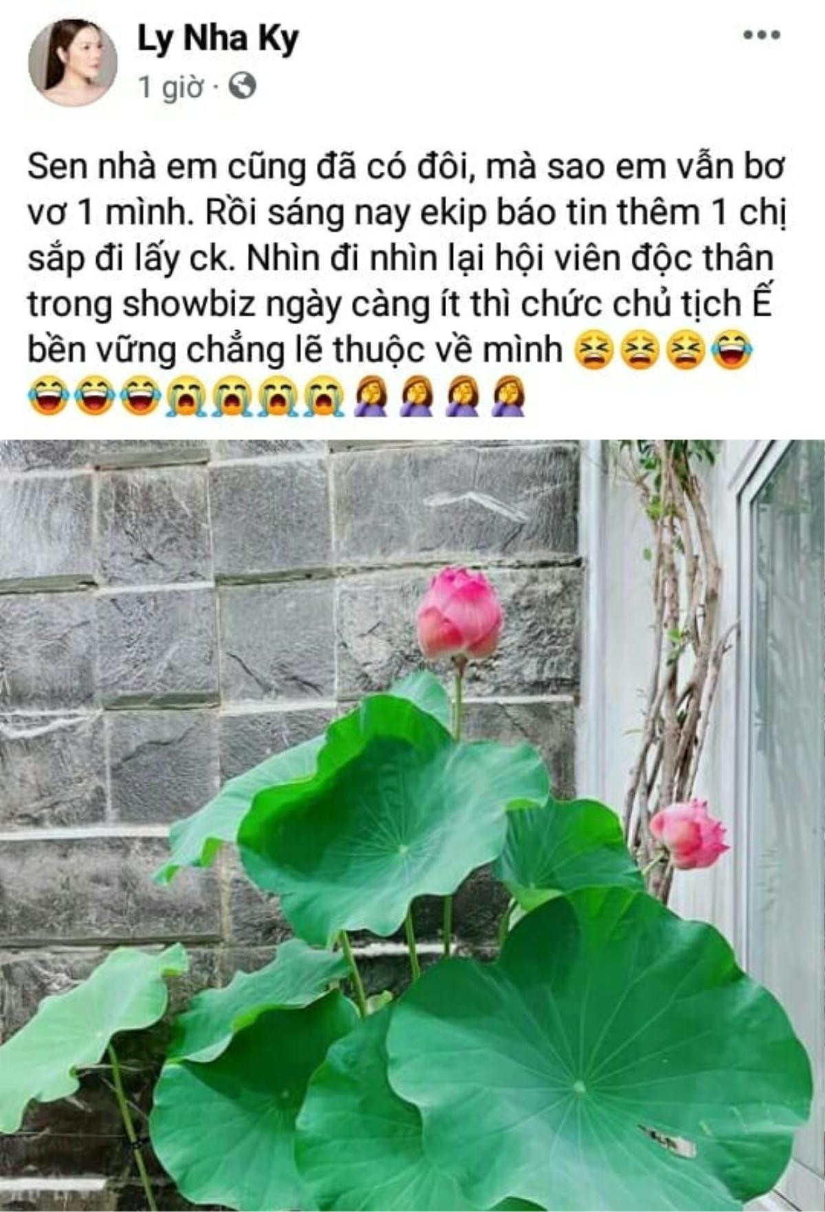 Lý Nhã Kỳ chạnh lòng 'xin vía' khi chứng kiến Minh Hằng, Ngô Thanh Vân lần lượt được 'chốt đơn' Ảnh 2