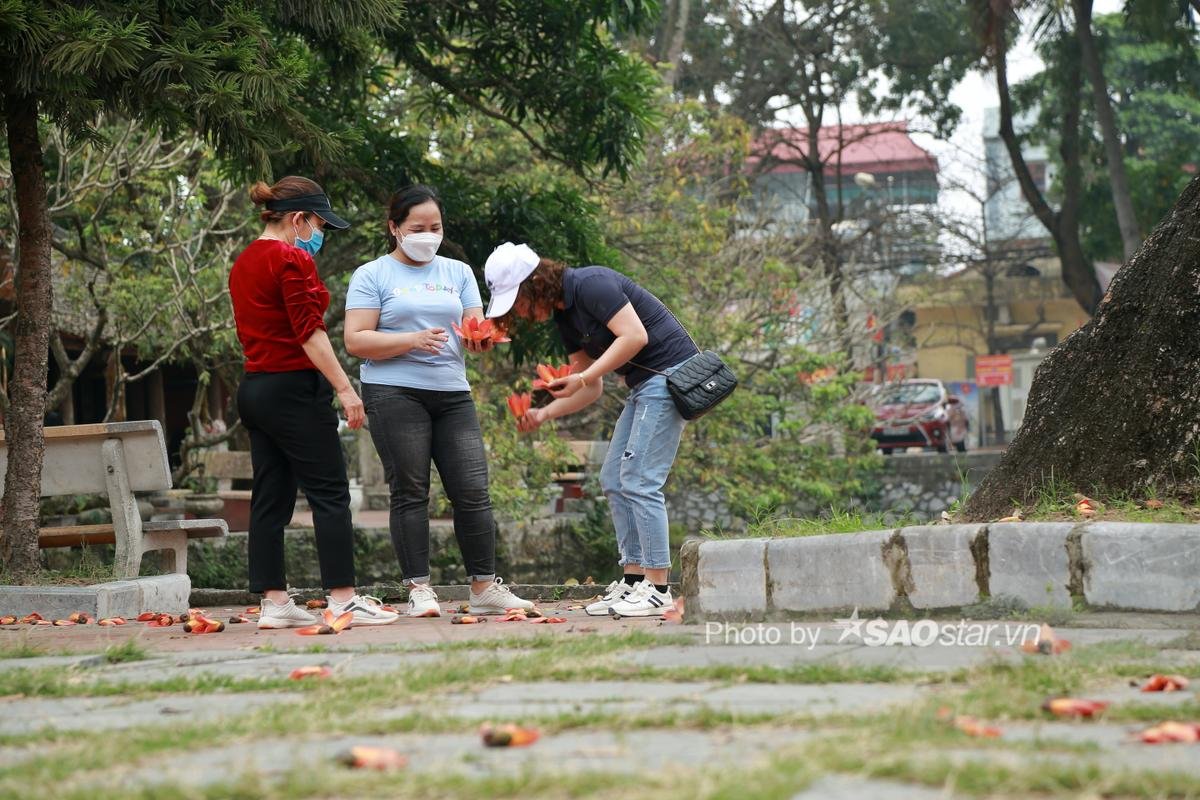 Chùa Thầy hoa gạo lại 'thắp lửa' rực cả một vùng trời, cảnh tượng đẹp đến nao lòng Ảnh 9