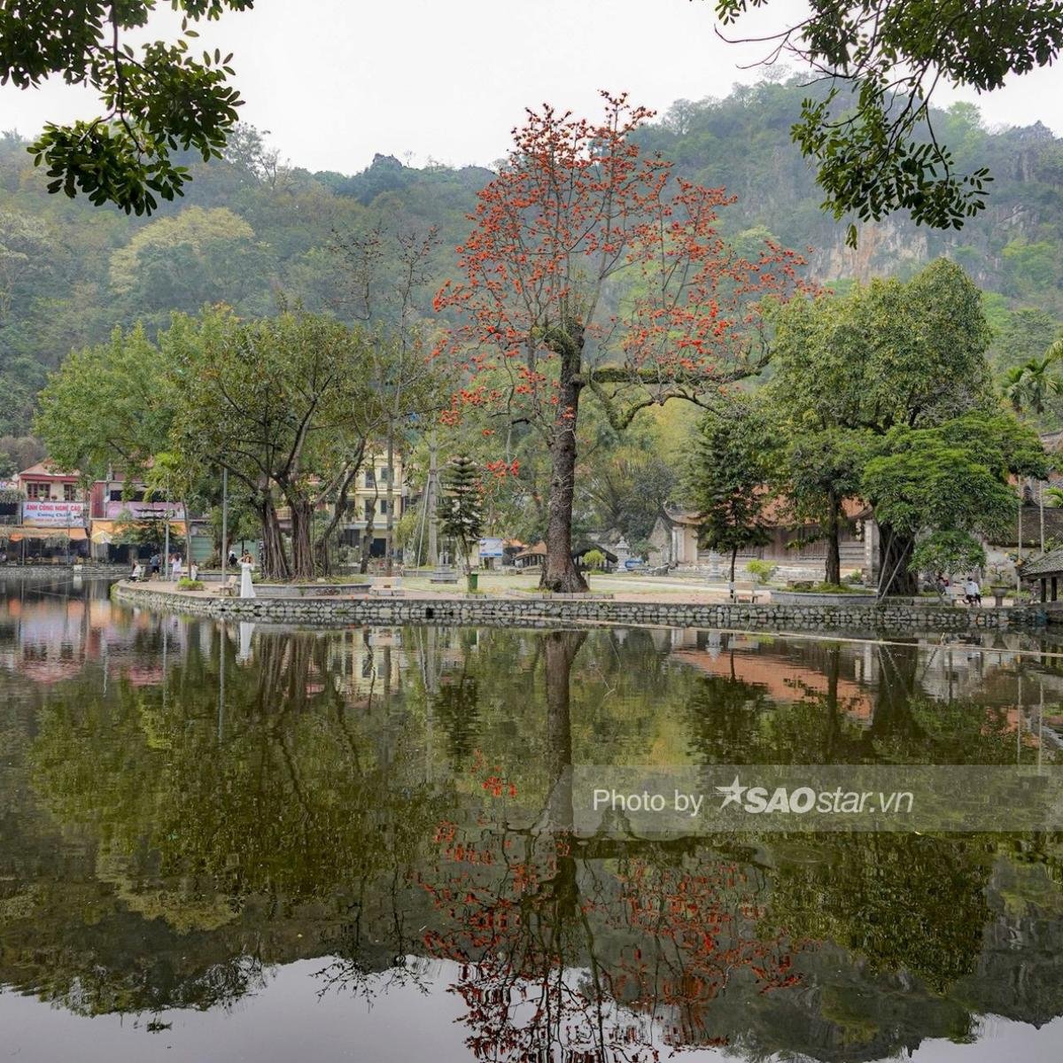 Chùa Thầy hoa gạo lại 'thắp lửa' rực cả một vùng trời, cảnh tượng đẹp đến nao lòng Ảnh 4