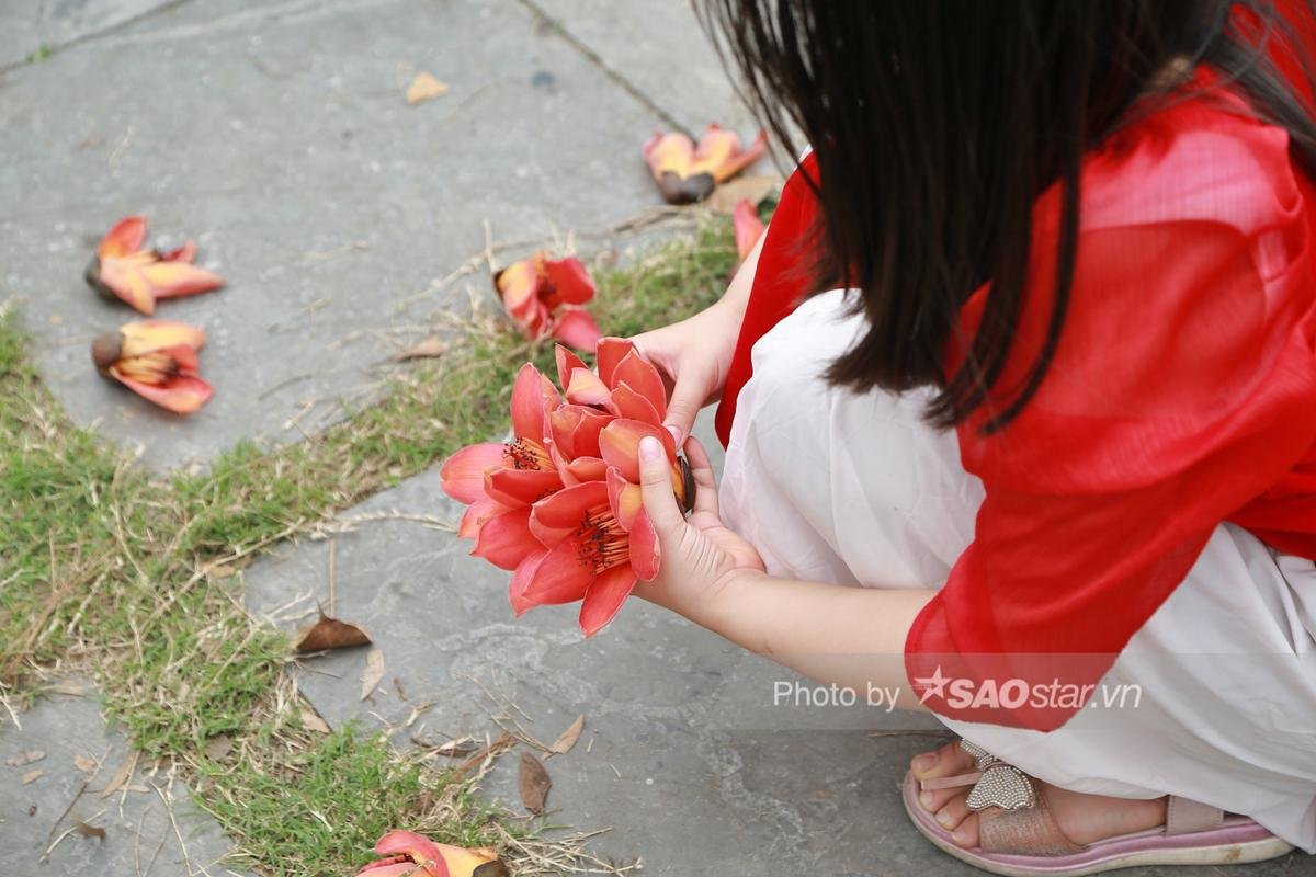 Chùa Thầy hoa gạo lại 'thắp lửa' rực cả một vùng trời, cảnh tượng đẹp đến nao lòng Ảnh 8