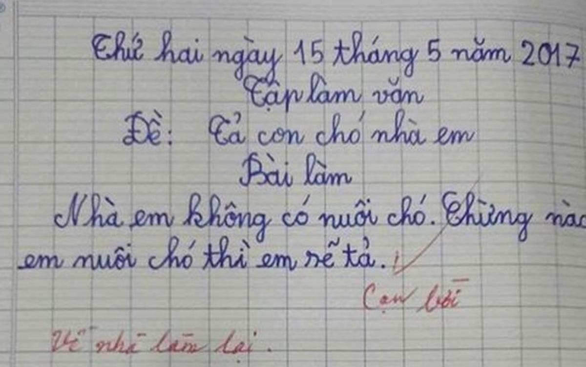 Bài văn 'bóc phốt' cô giáo không chút tiếc thương và lời phê gây chú ý Ảnh 3