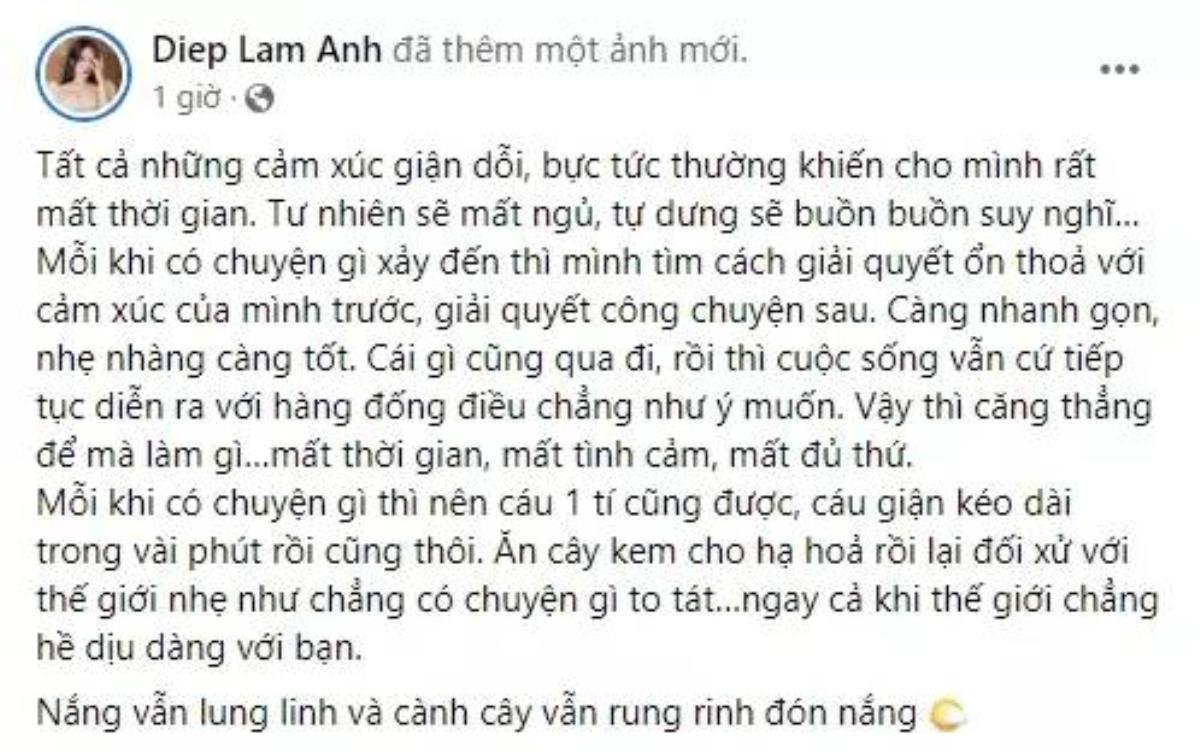 Bị khuyên 'để 2 con lại cho nhà chồng', Diệp Lâm Anh phản ứng gay gắt Ảnh 2