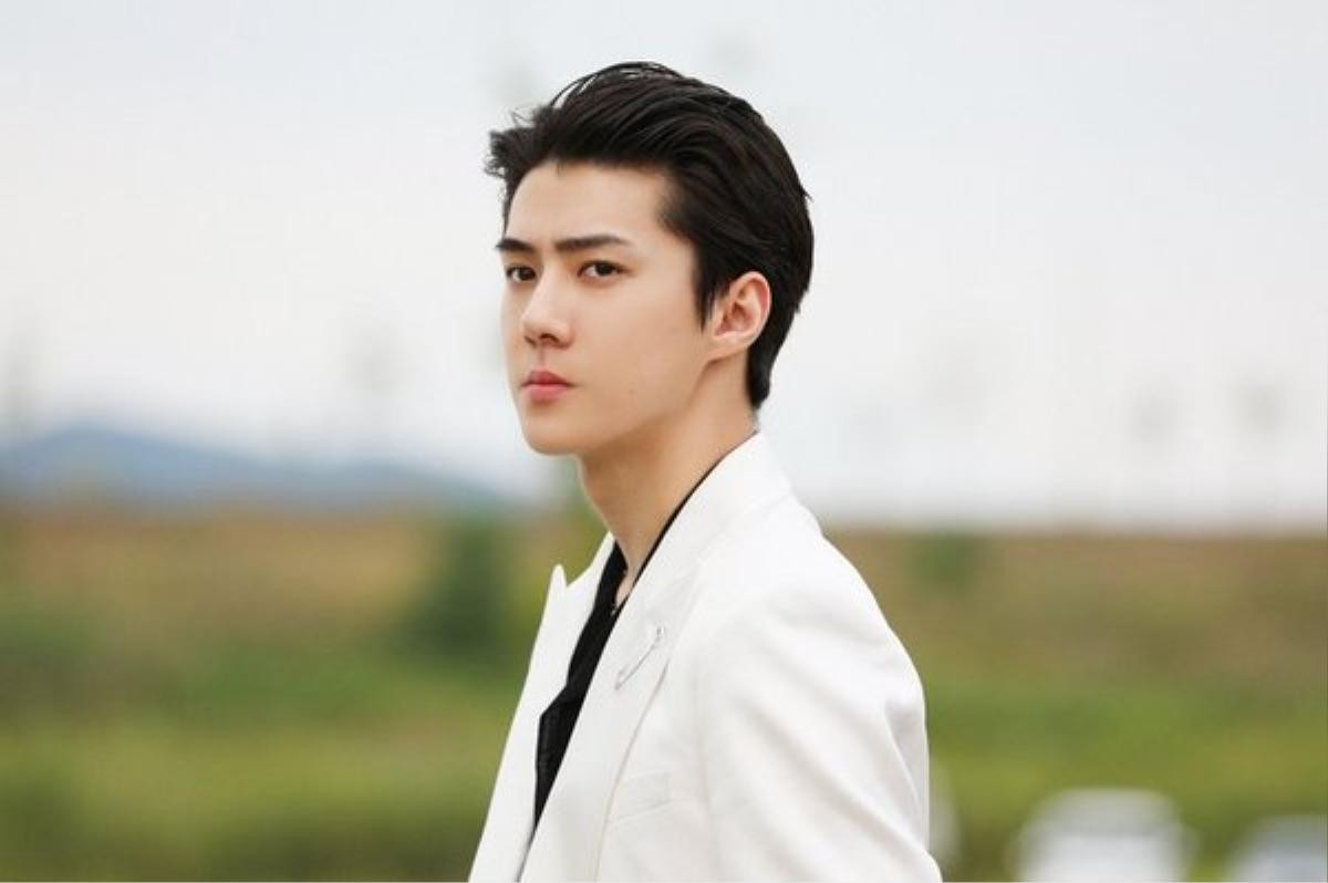 Nam ca sĩ điển trai nhóm EXO Oh SeHun vào vai nam chính trong bộ phim Love, Do It Ảnh 3