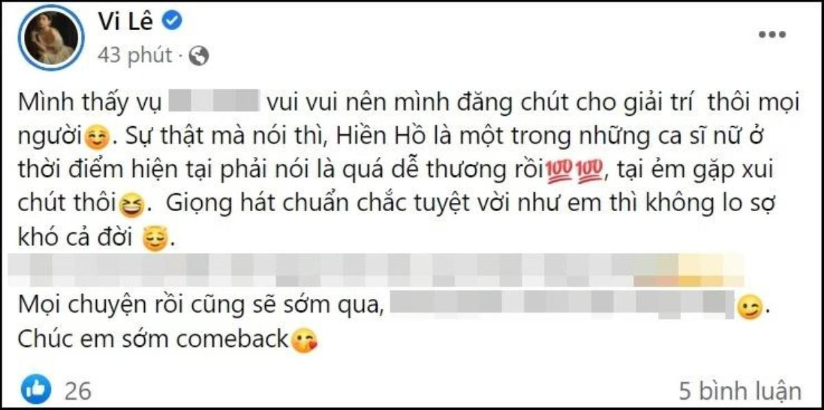 Vợ cũ Hồ Quang Hiếu gây phẫn nộ với phát ngôn: 'Hiền Hồ xui thôi, chúc em sớm comeback' Ảnh 1