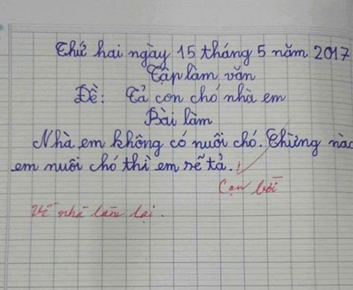 Làm văn tả chú chó nhà em, học trò tiểu học viết vỏn vẹn 2 câu khiến cô giáo 'cạn lời' Ảnh 1