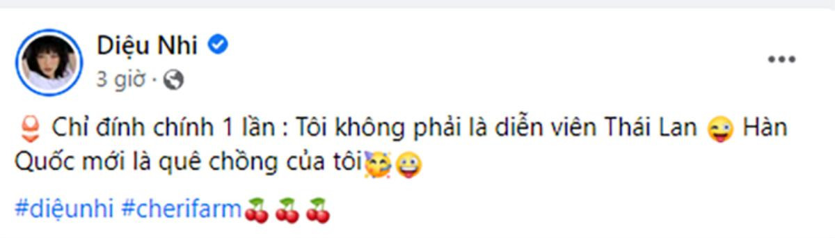 Diệu Nhi xác nhận quê chồng sau khi đính chính tin kết hôn với Anh Tú, lại chuyện gì nữa đây? Ảnh 5