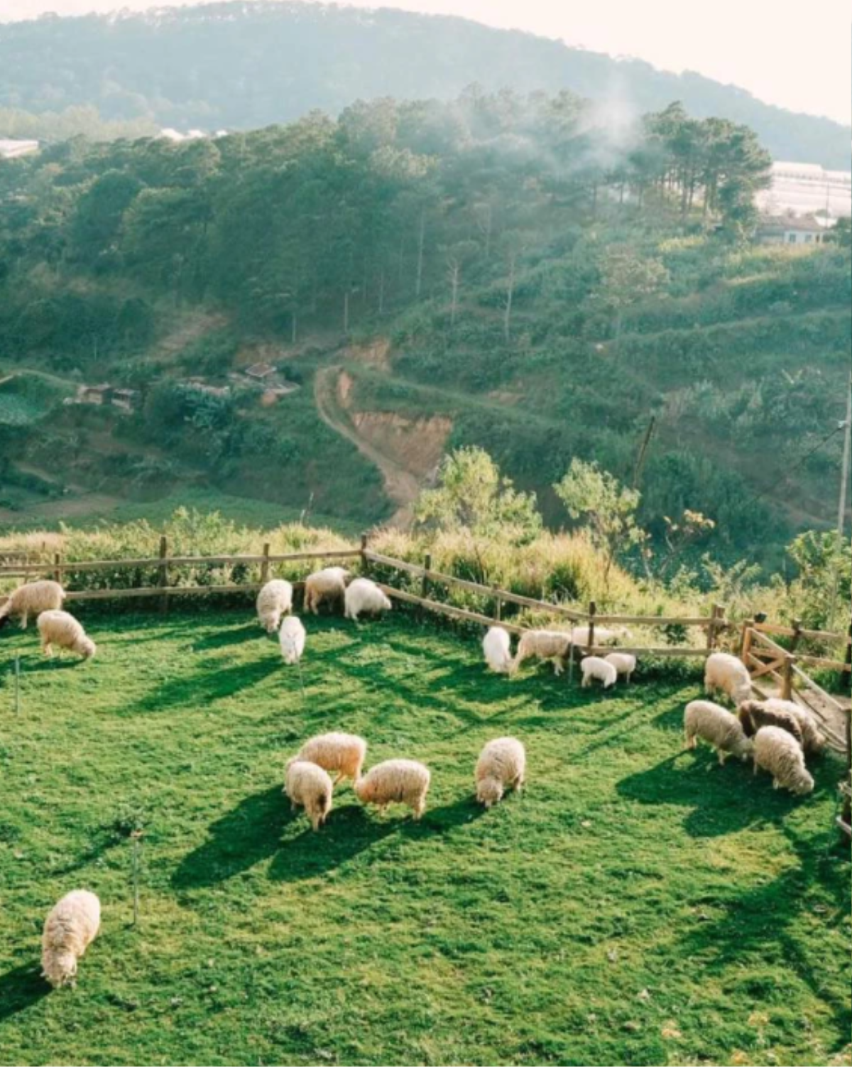 Nông trại nổi tiếng Đà Lạt phí vào 100k nhưng 'nội dung lèo tèo', thực tế khác phũ phàng so với ảnh mạng Ảnh 1