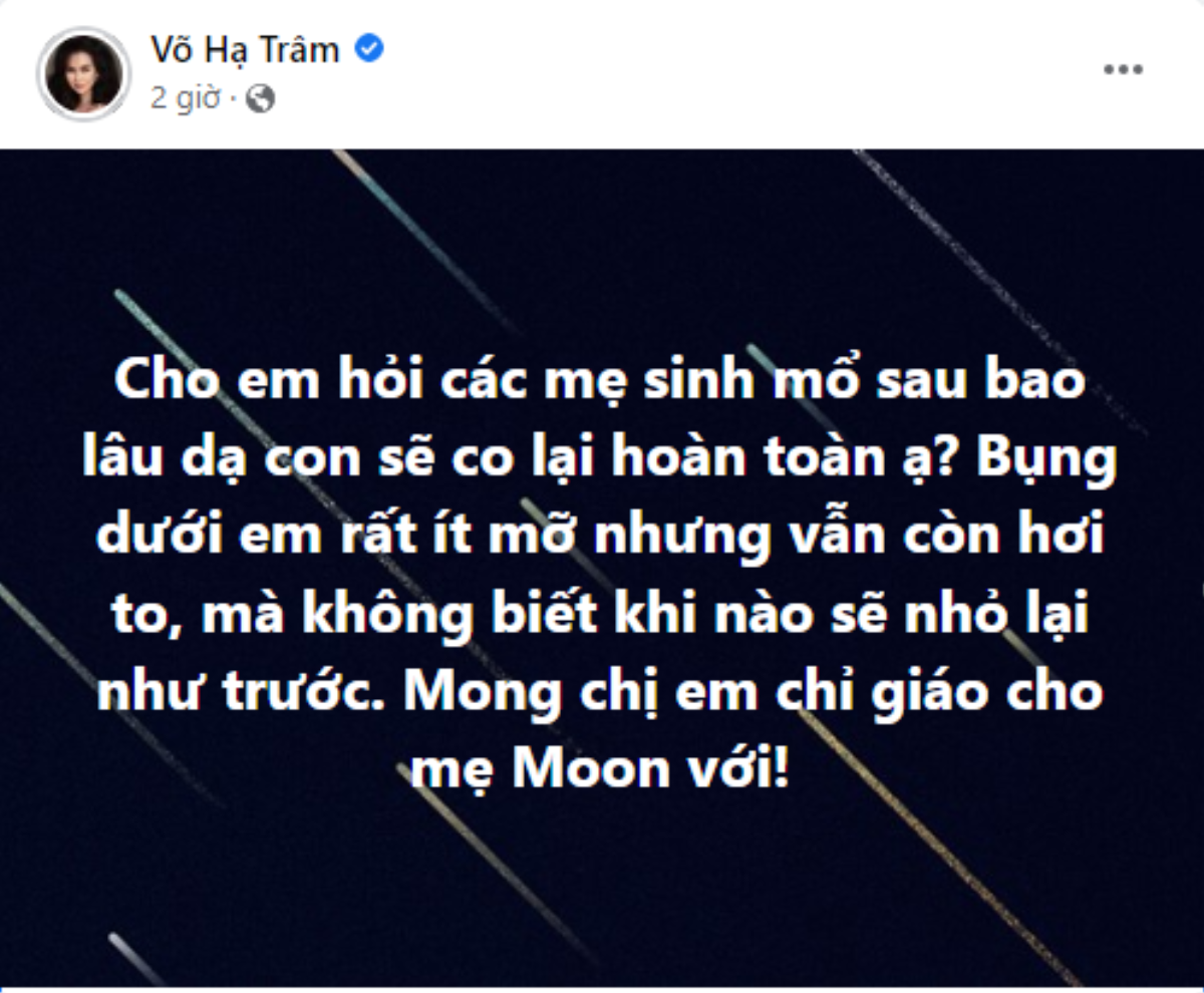 Võ Hạ Trâm tự ti về ngoại hình quá khổ sau sinh Ảnh 1