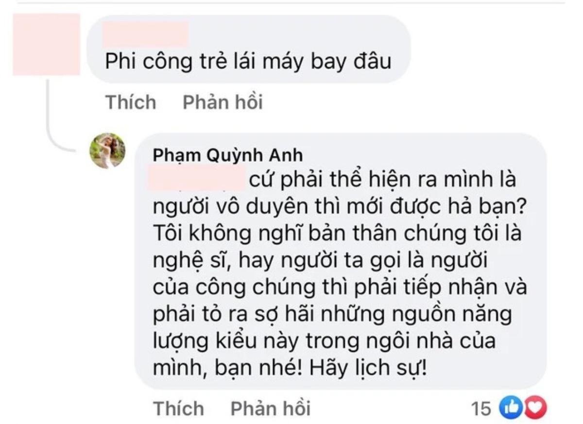 Bị 'cà khịa' chuyện 'lái máy bay', Phạm Quỳnh Anh đáp trả cực gắt Ảnh 2