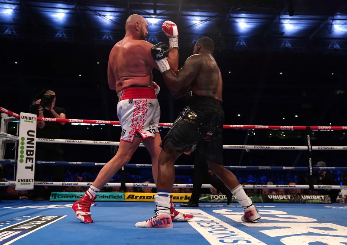 Tyson Fury hạ knock-out Dillian Whyte Ảnh 1