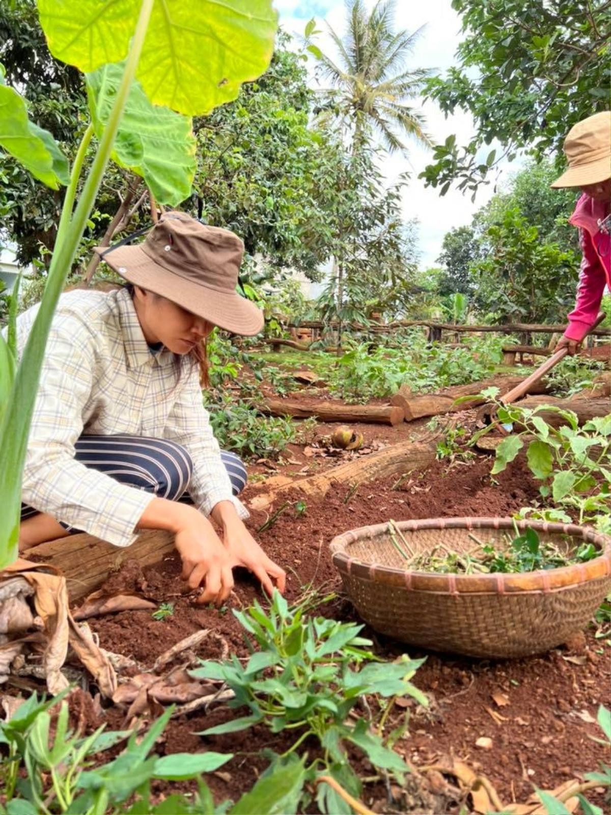 Góc tự hào, H'Hen Niê gác lại danh hiệu Top 5 Hoàn vũ, về quê hóa thôn nữ trồng rau cùng buôn làng Ảnh 4