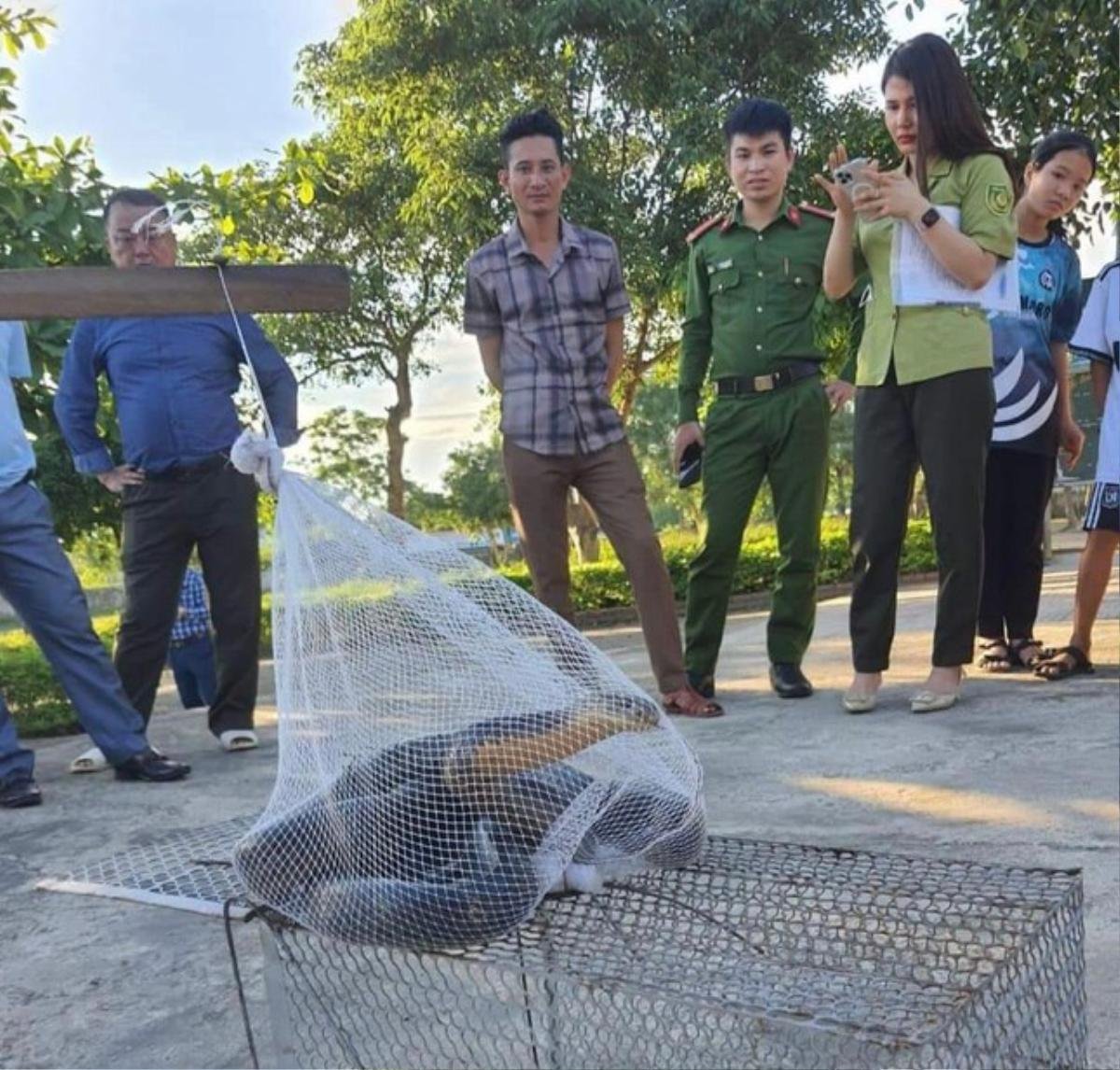 Thấy rắn hổ mang chúa dài hơn 3m lang thang trong trường, học sinh và giáo viên liền có hành động gan dạ Ảnh 1