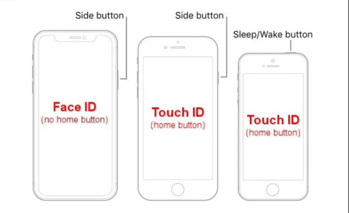 Những dòng iPhone có Touch ID cho bạn lựa chọn Ảnh 1