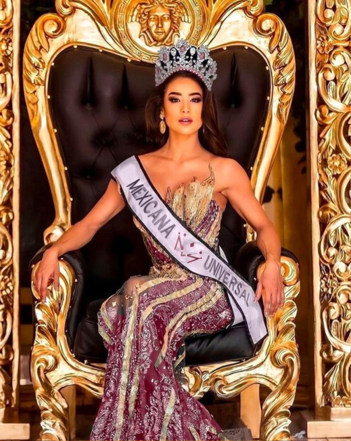 Hoa hậu Mexico trao nhầm vương miện: Fan được dịp nhắc lại sự cố đình đám Miss Universe 2015 Ảnh 2