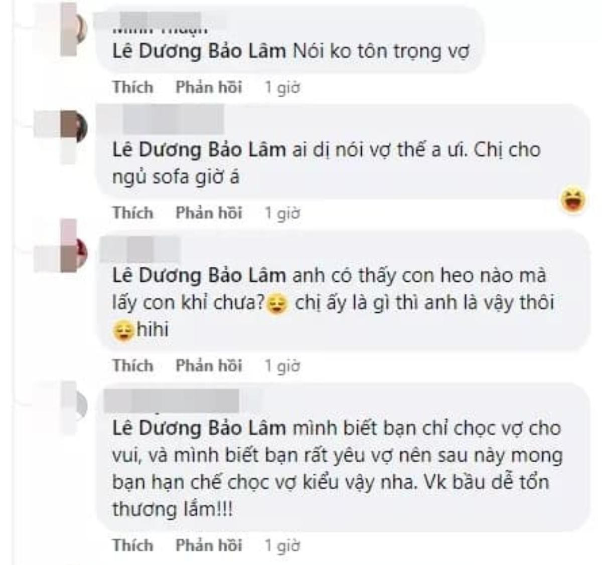 Lê Dương Bảo Lâm bị dân tình chỉ trích vì gọi vợ là 'heo' lúc đang mang bầu Ảnh 3