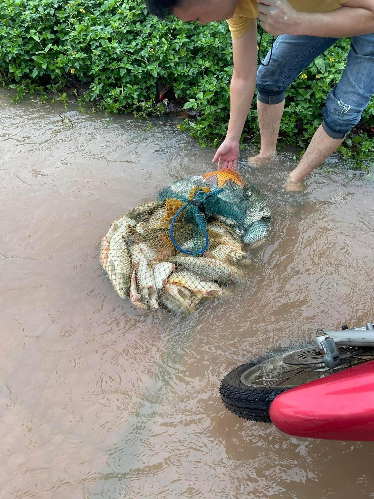 Mưa lớn khiến đường phố ngập 'thành sông', người dân mang vó, nơm ra giữa ngã tư đường bắt cá Ảnh 8