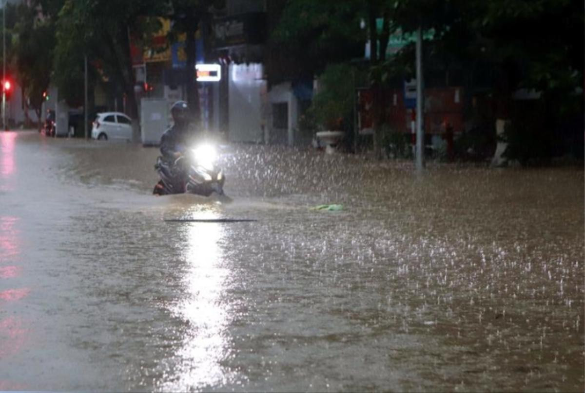 Mưa lớn khiến đường phố ngập 'thành sông', người dân mang vó, nơm ra giữa ngã tư đường bắt cá Ảnh 1